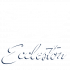 cropped-Logo-Eccleston-01-1024x1024-1.png